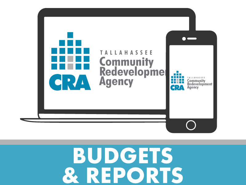 Budget and Reports