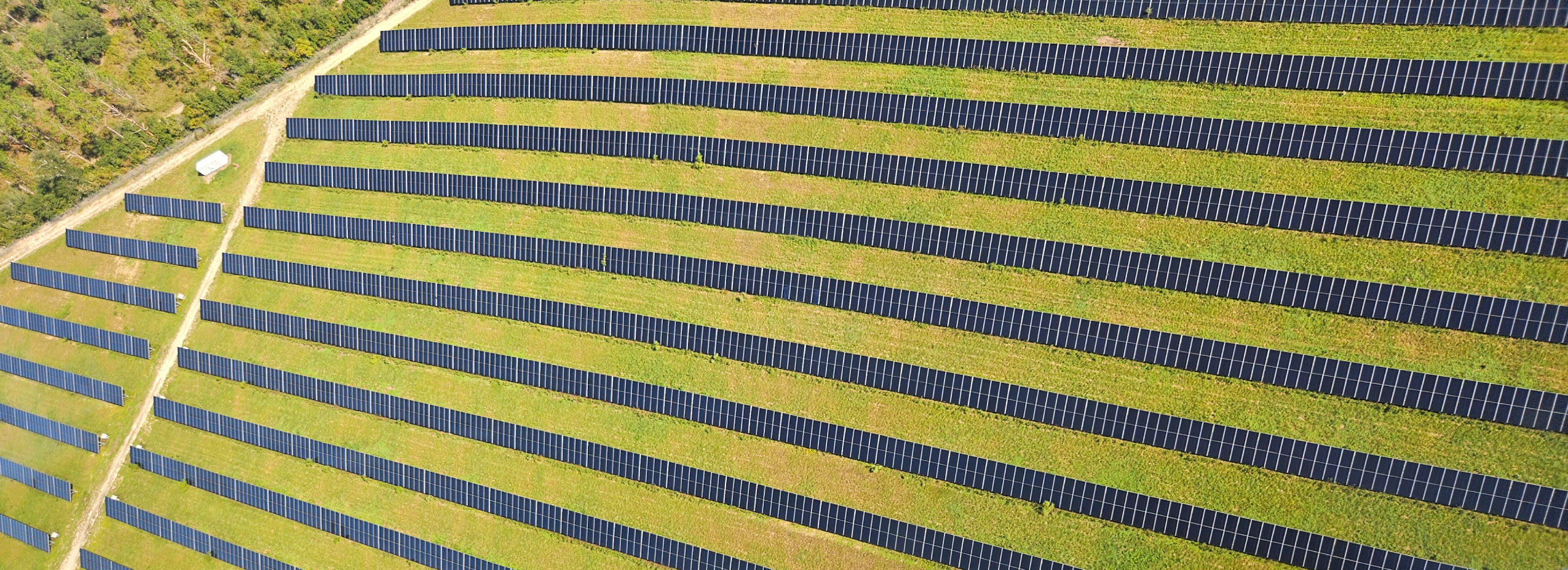 image of TLH Solar Farm